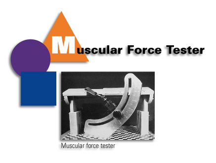 Muscular Force Tester